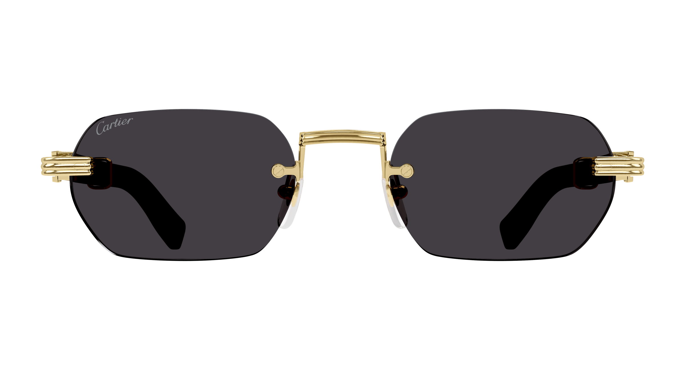Cartier CT0362S