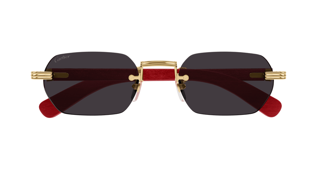 Cartier CT0362S