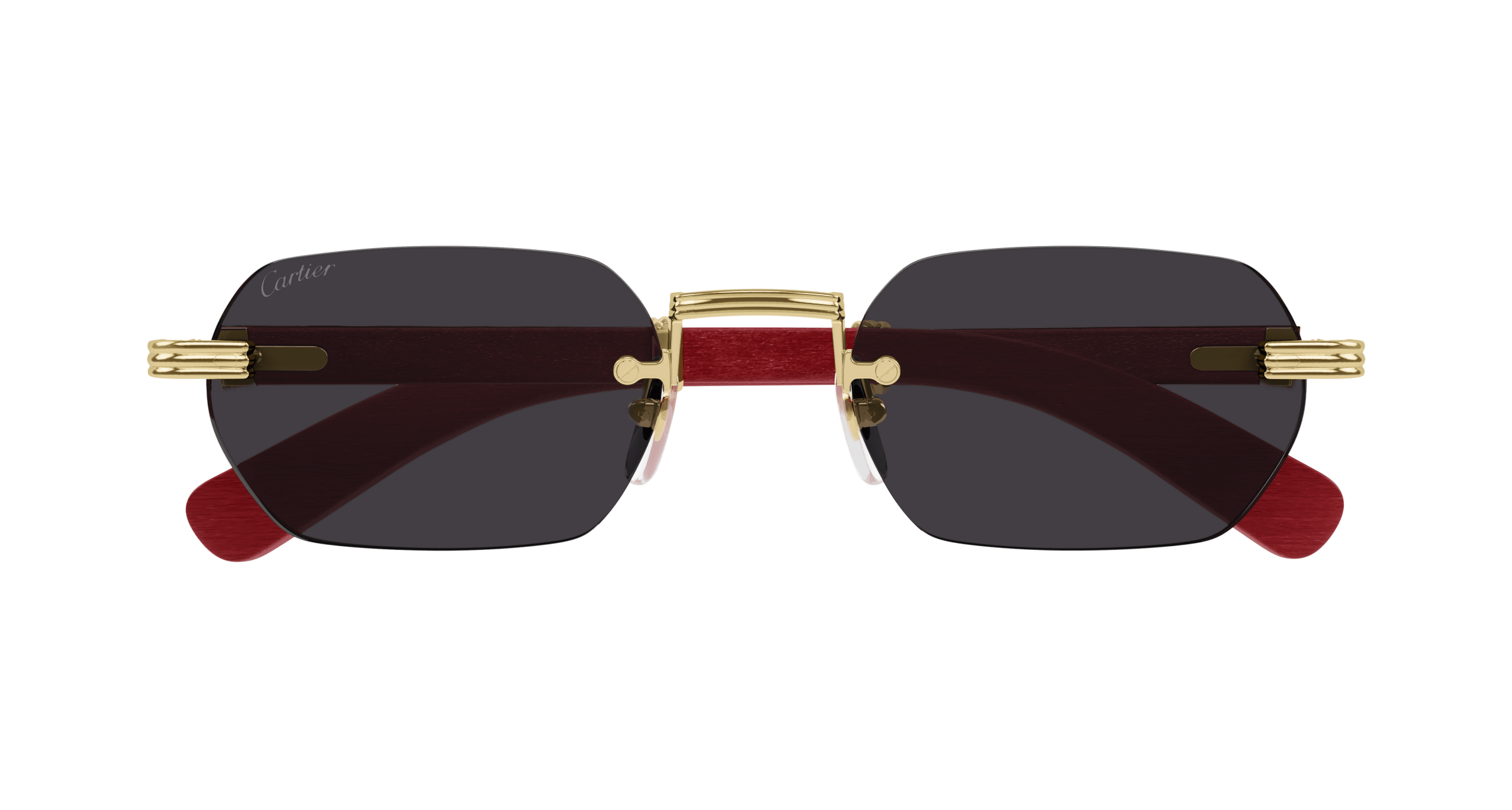 Cartier CT0362S