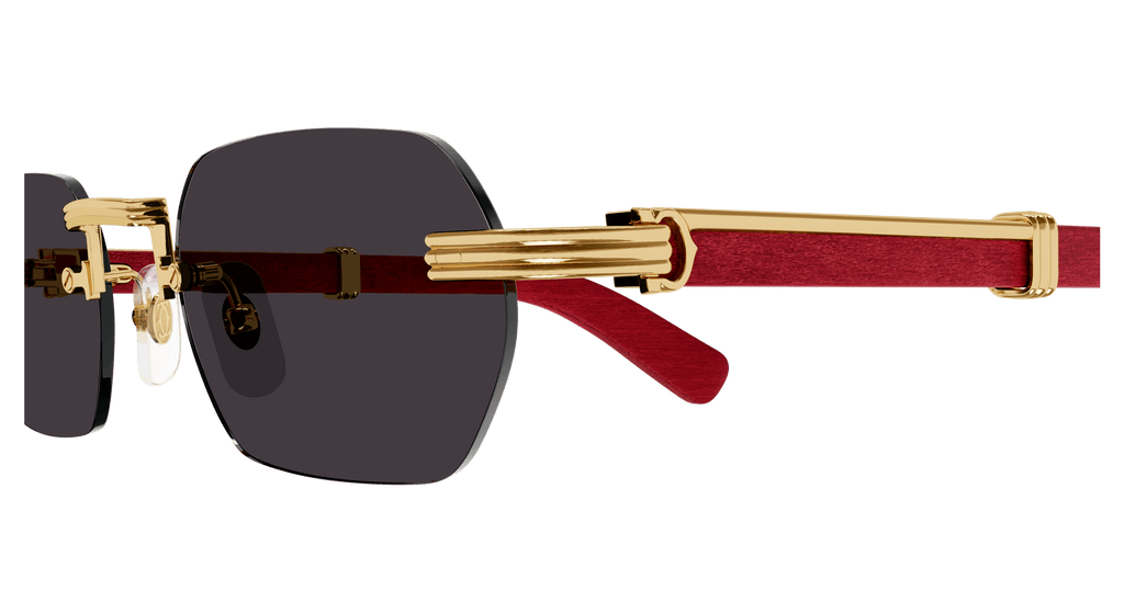 Cartier CT0362S