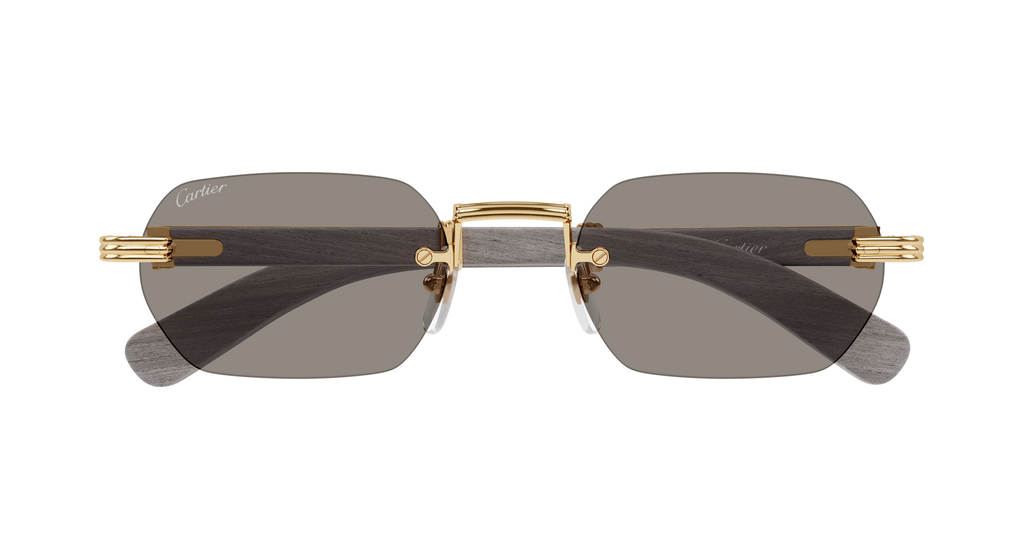 Cartier CT0362S