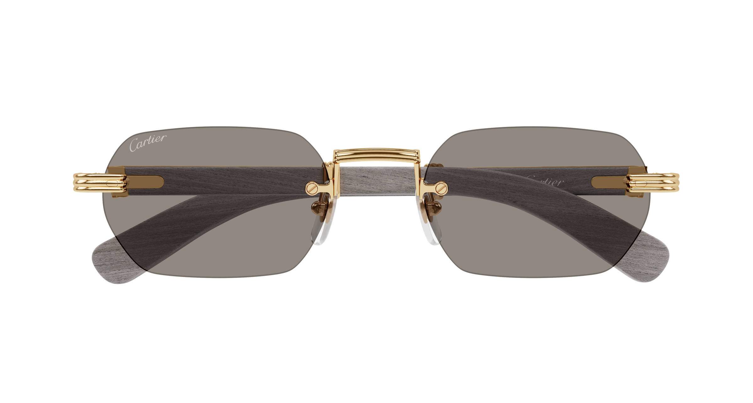 Cartier CT0362S
