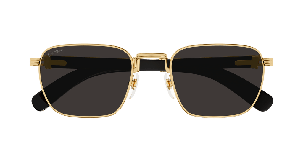 Cartier CT0363S