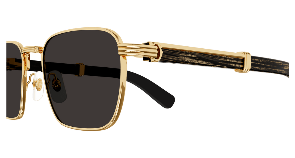 Cartier CT0363S