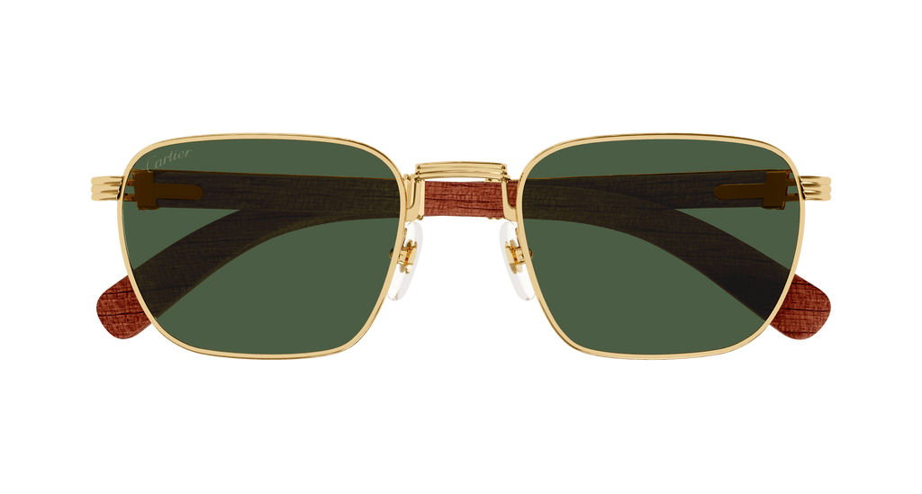 Cartier CT0363S