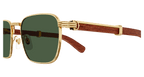 Cartier CT0363S
