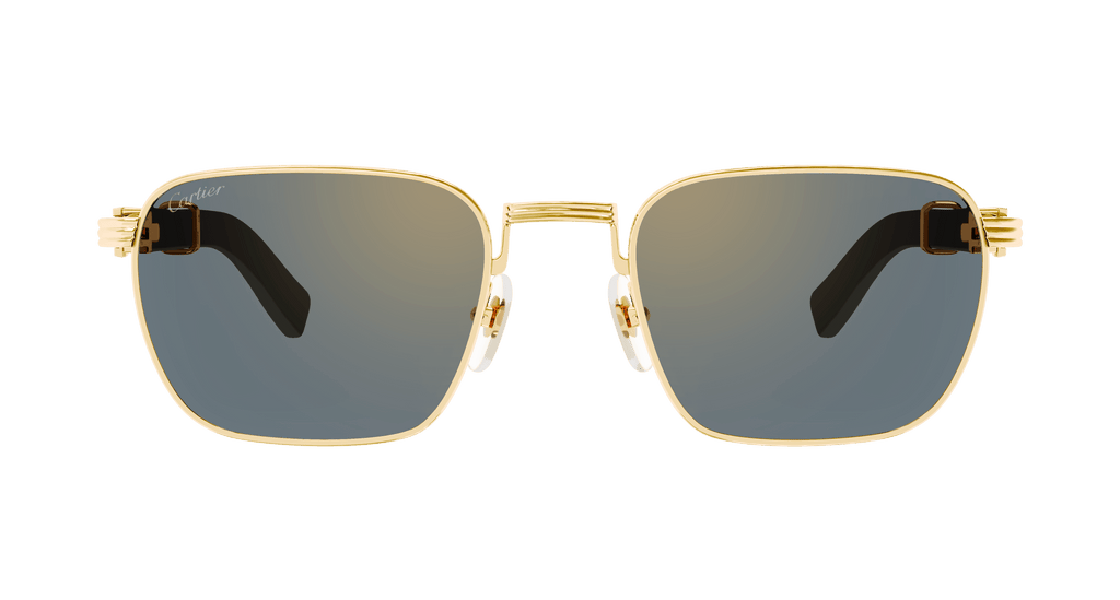 Cartier CT0363S