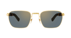 Cartier CT0363S