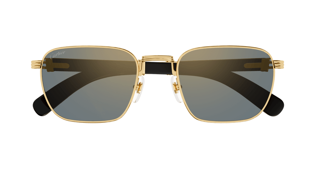 Cartier CT0363S