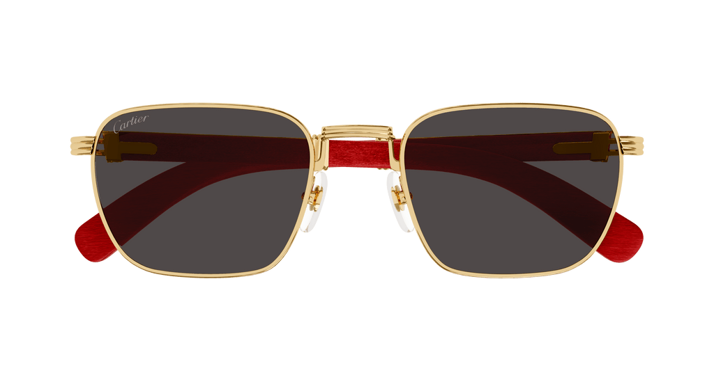 Cartier CT0363S
