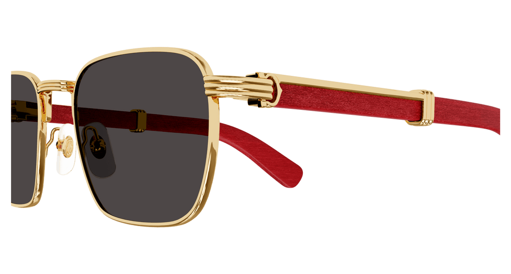 Cartier CT0363S
