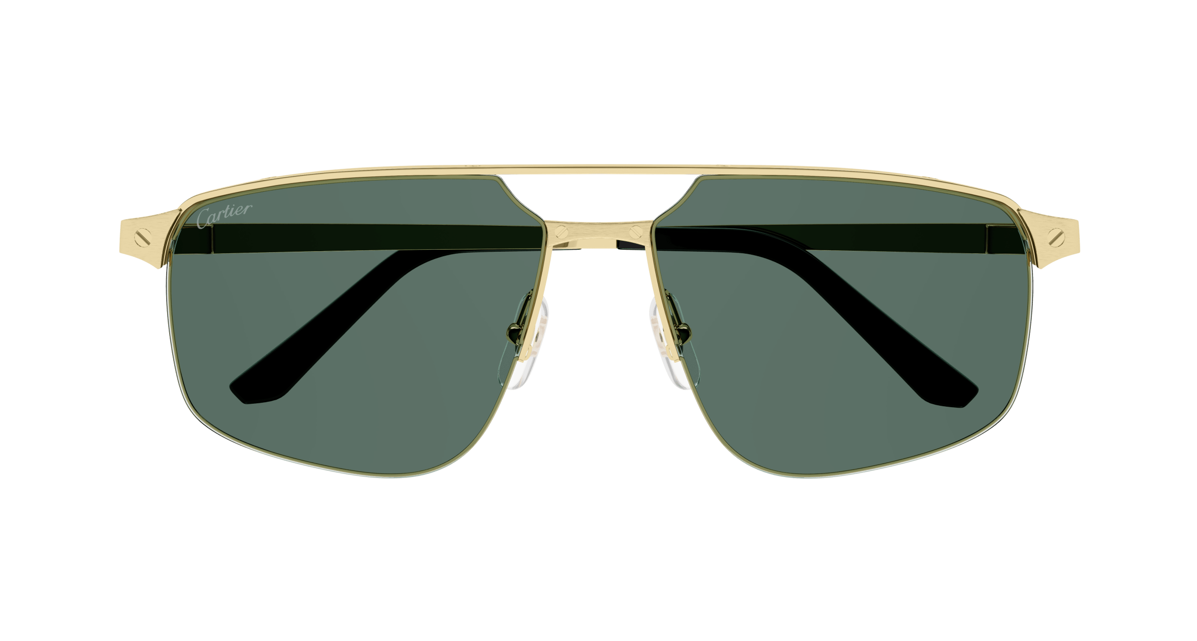 Cartier CT0385S