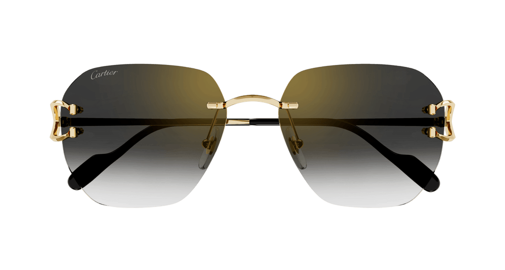Cartier CT0394S