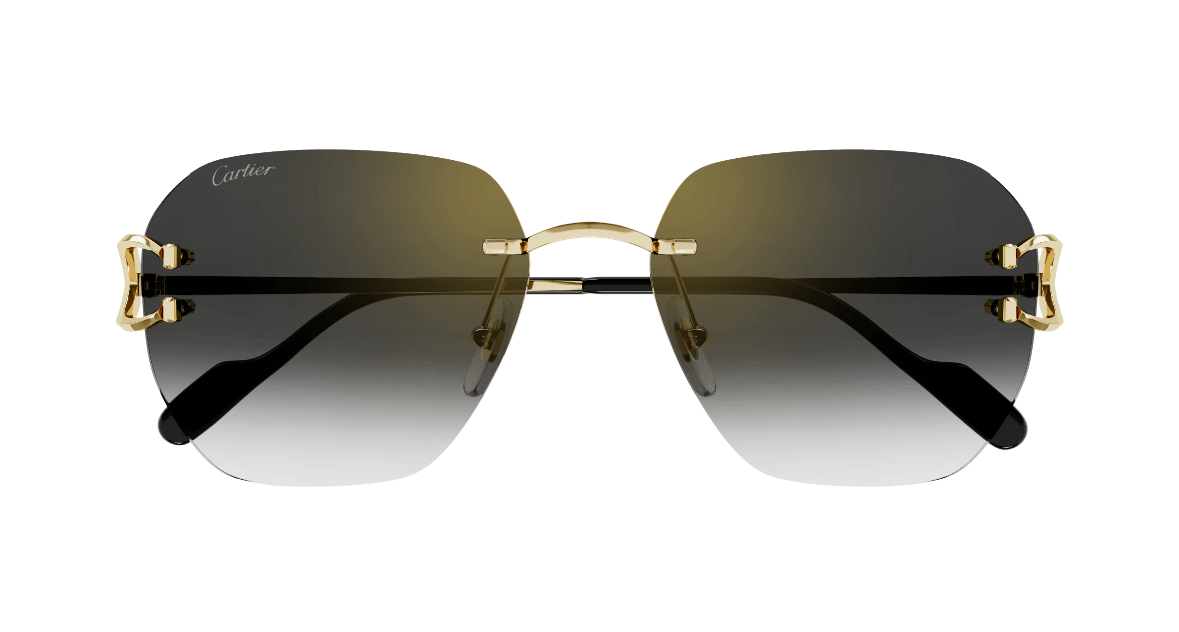Cartier CT0394S