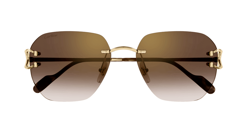 Cartier CT0394S