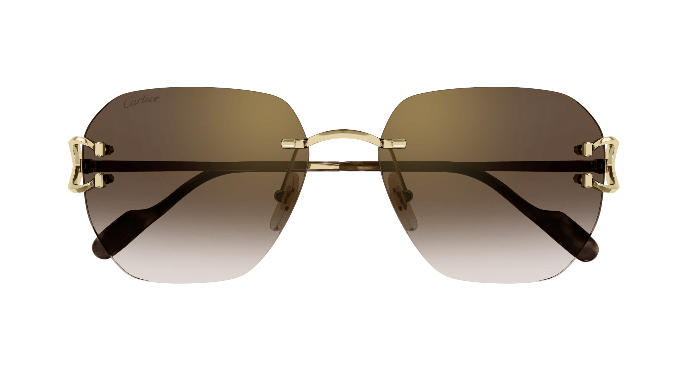 Cartier CT0394S