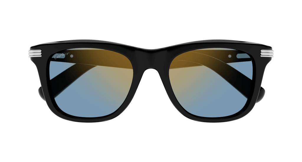 Cartier CT0396S