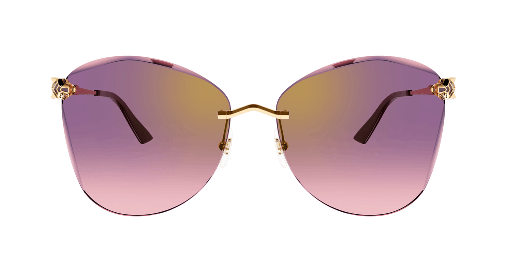 Cartier CT0398S