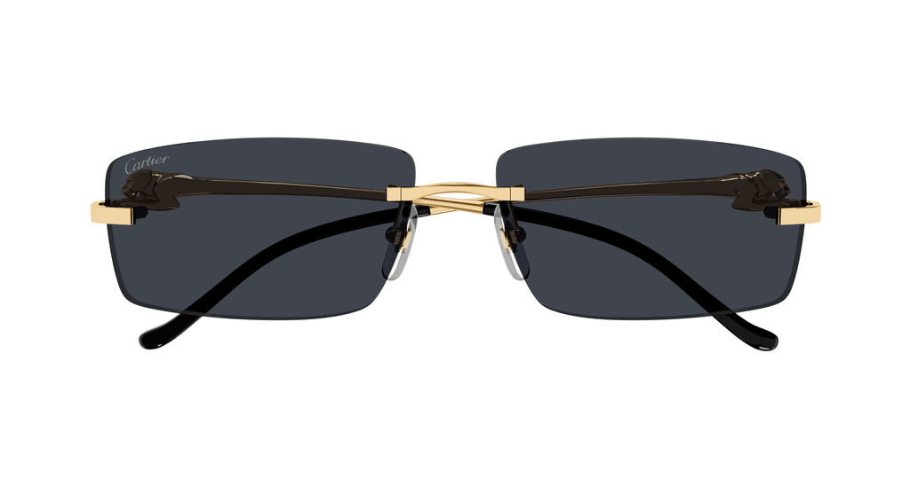 Cartier CT0430S
