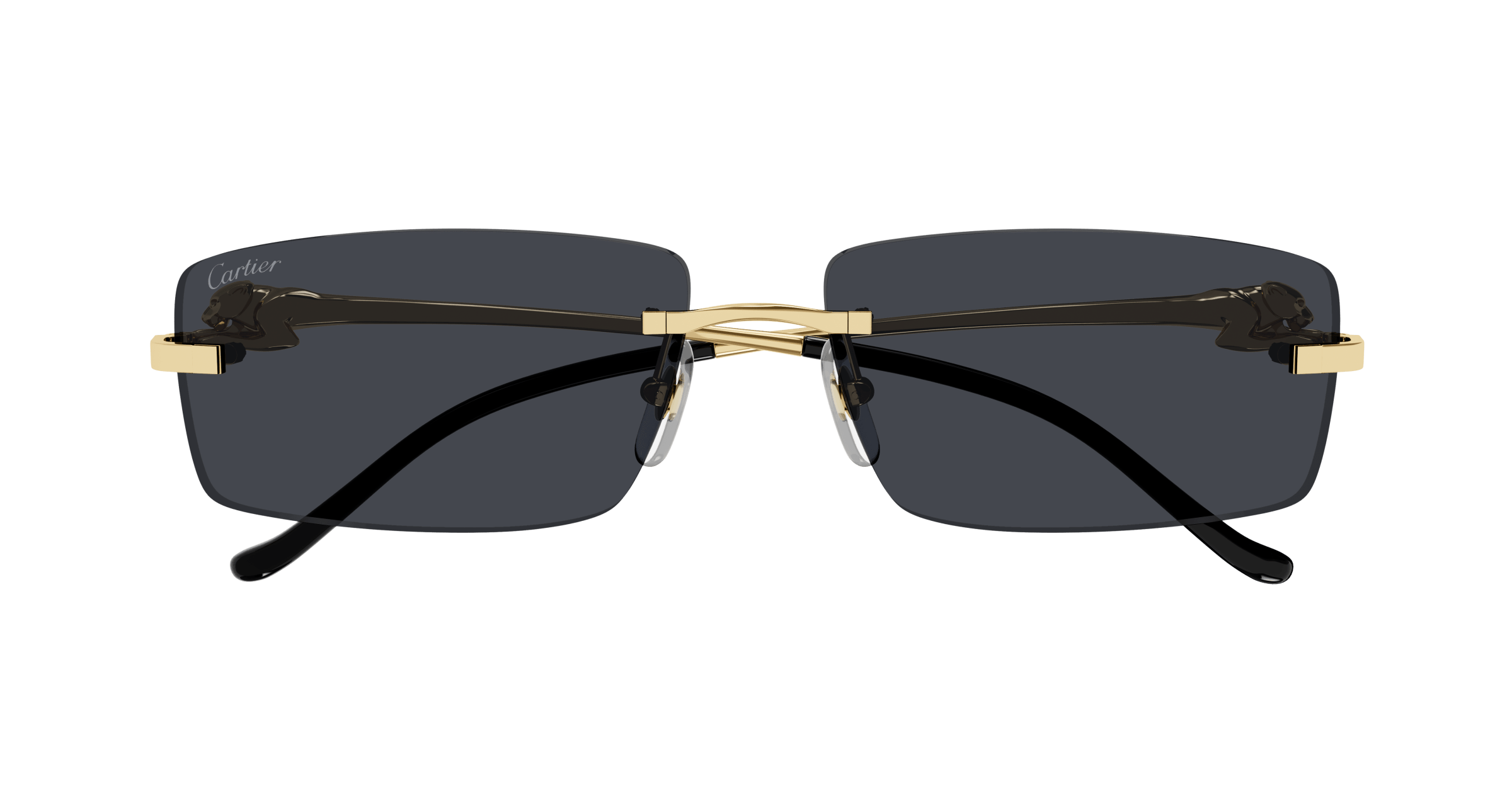 Cartier CT0430S