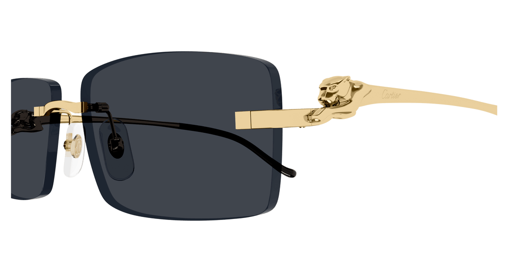Cartier CT0430S