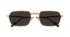 Cartier CT0463S