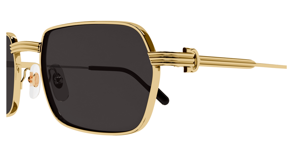 Cartier CT0463S