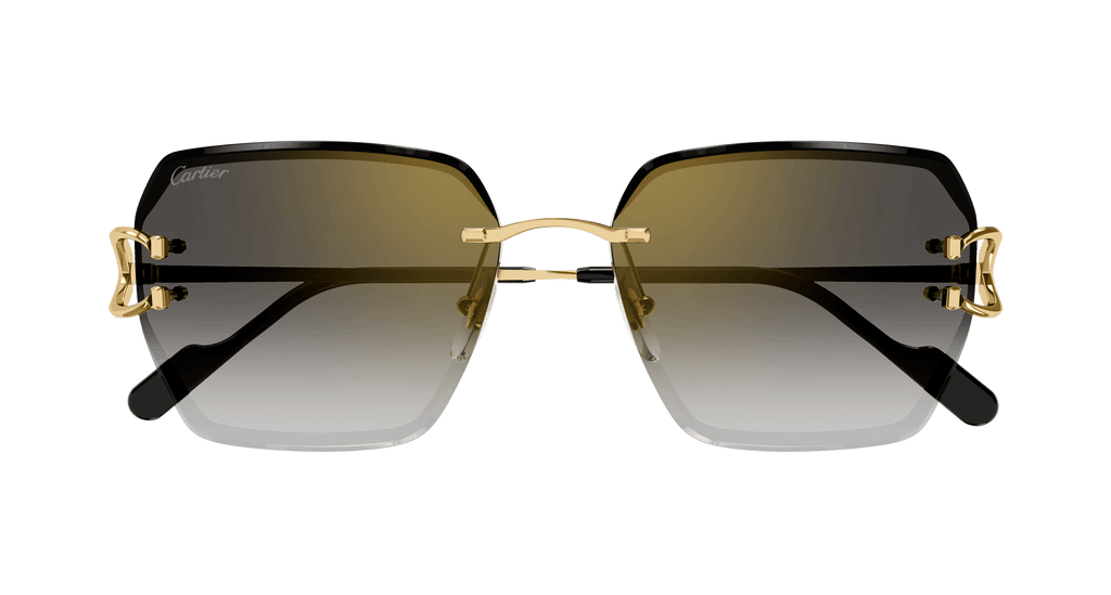 Cartier CT0466S