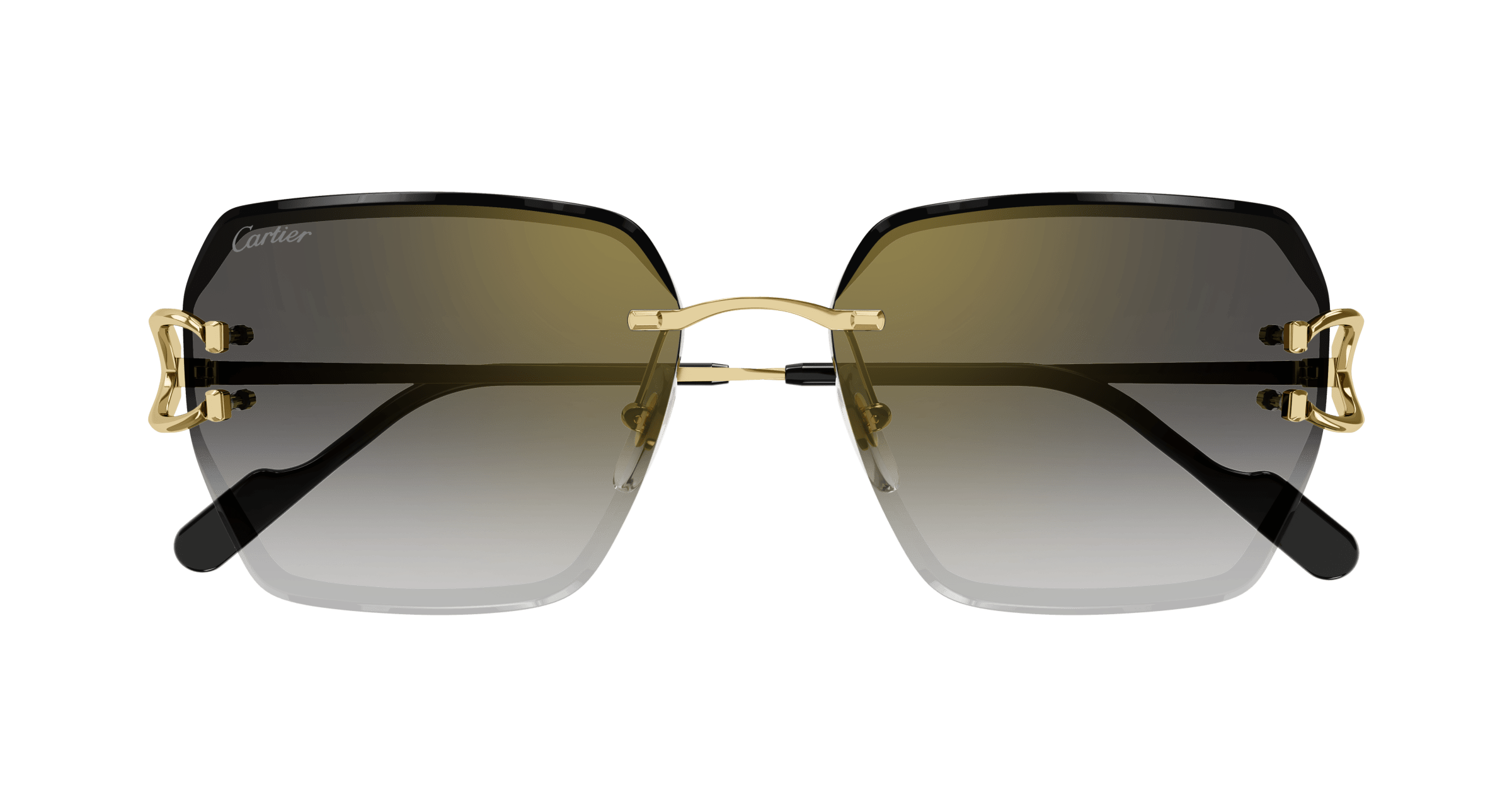 Cartier CT0466S
