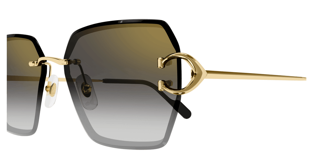 Cartier CT0466S