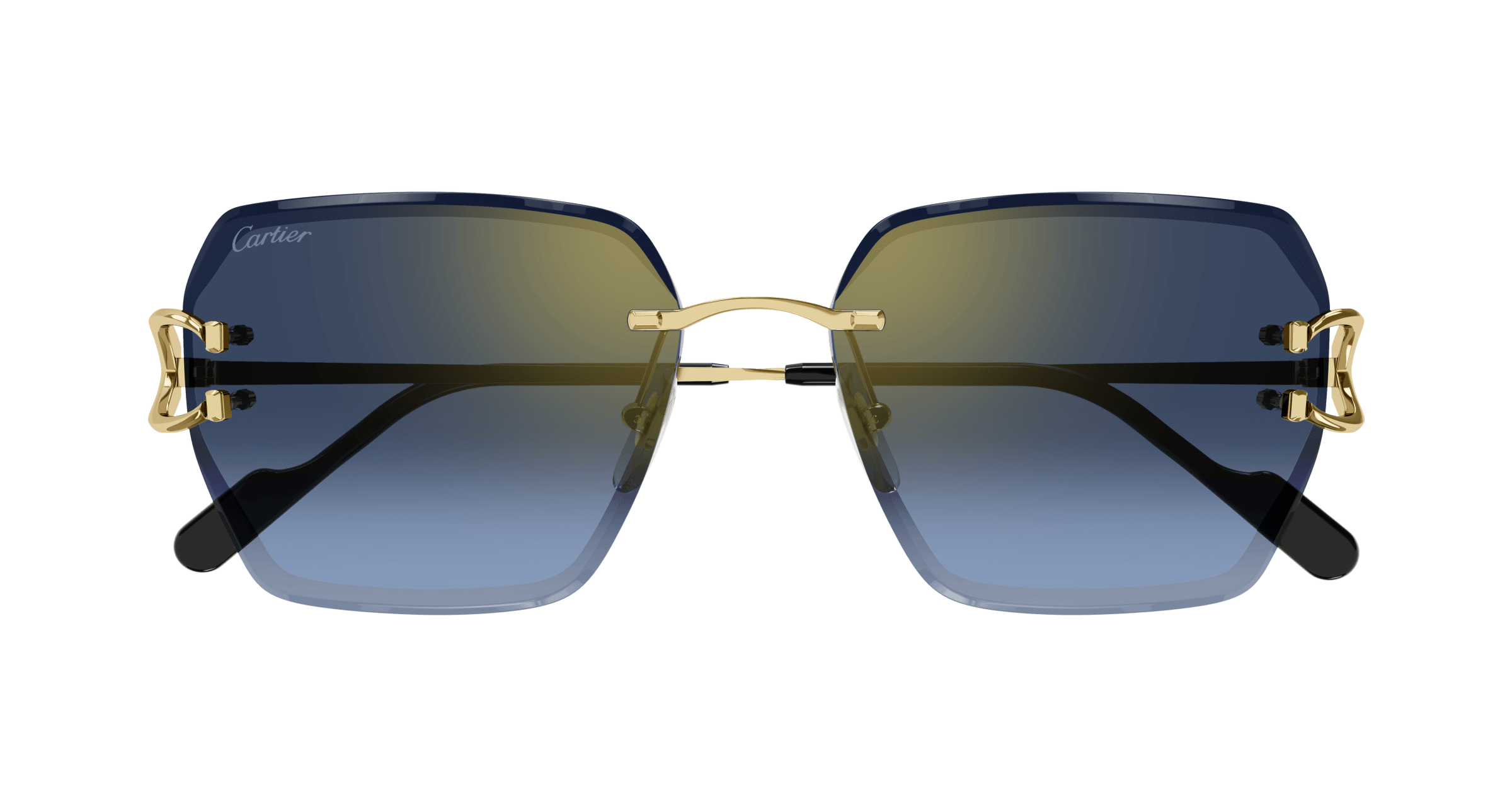 Cartier CT0466S