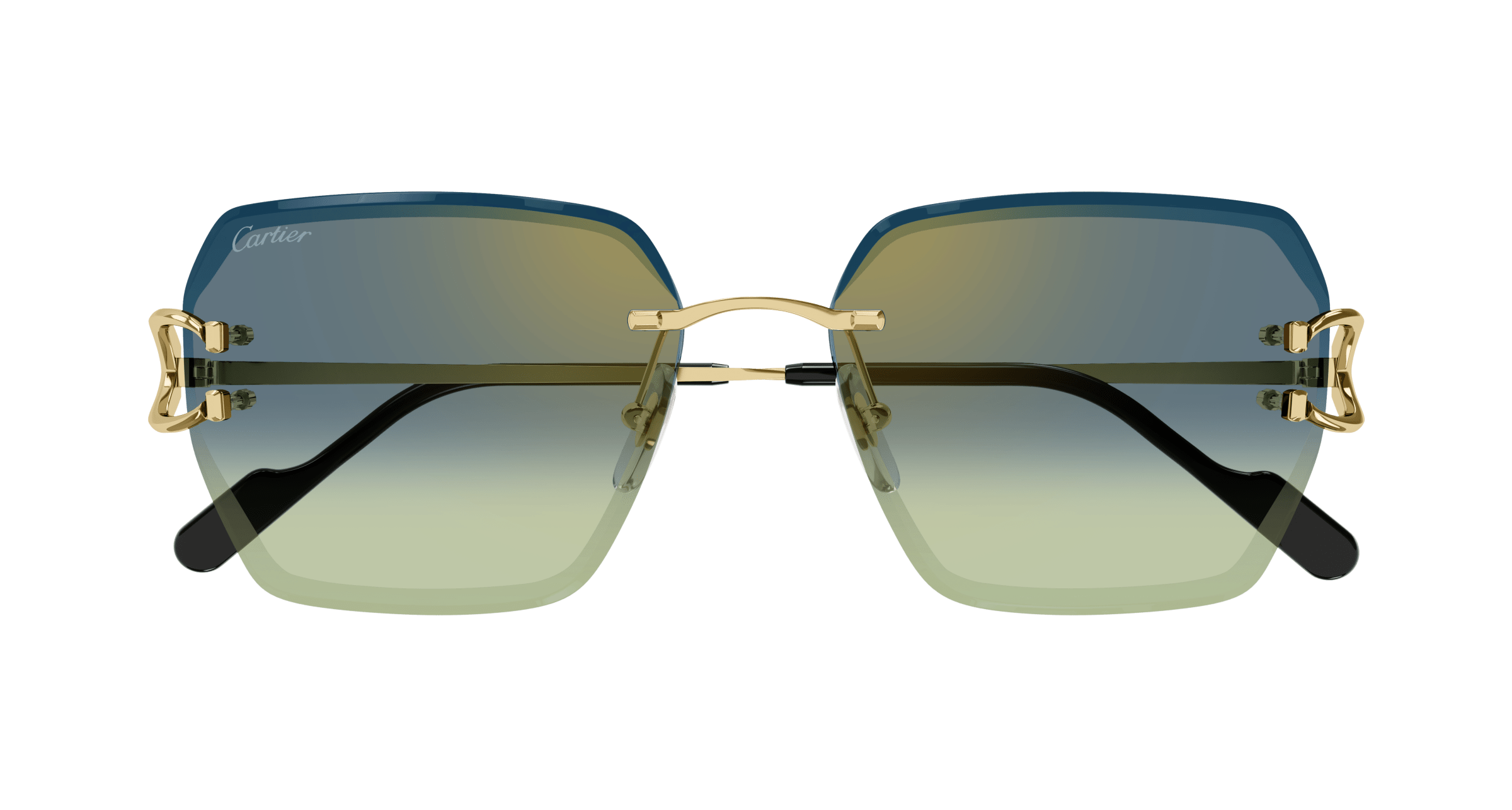 Cartier CT0466S