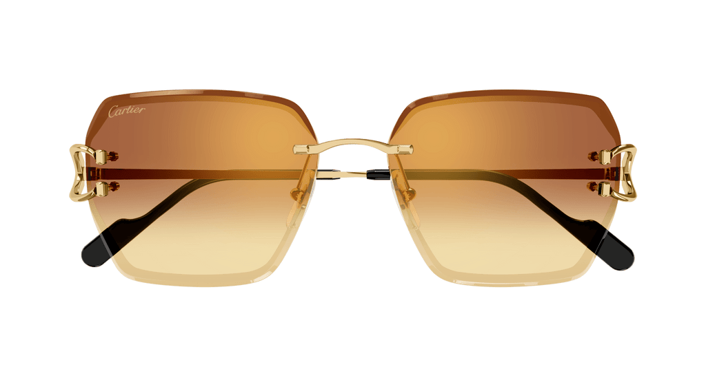 Cartier CT0466S