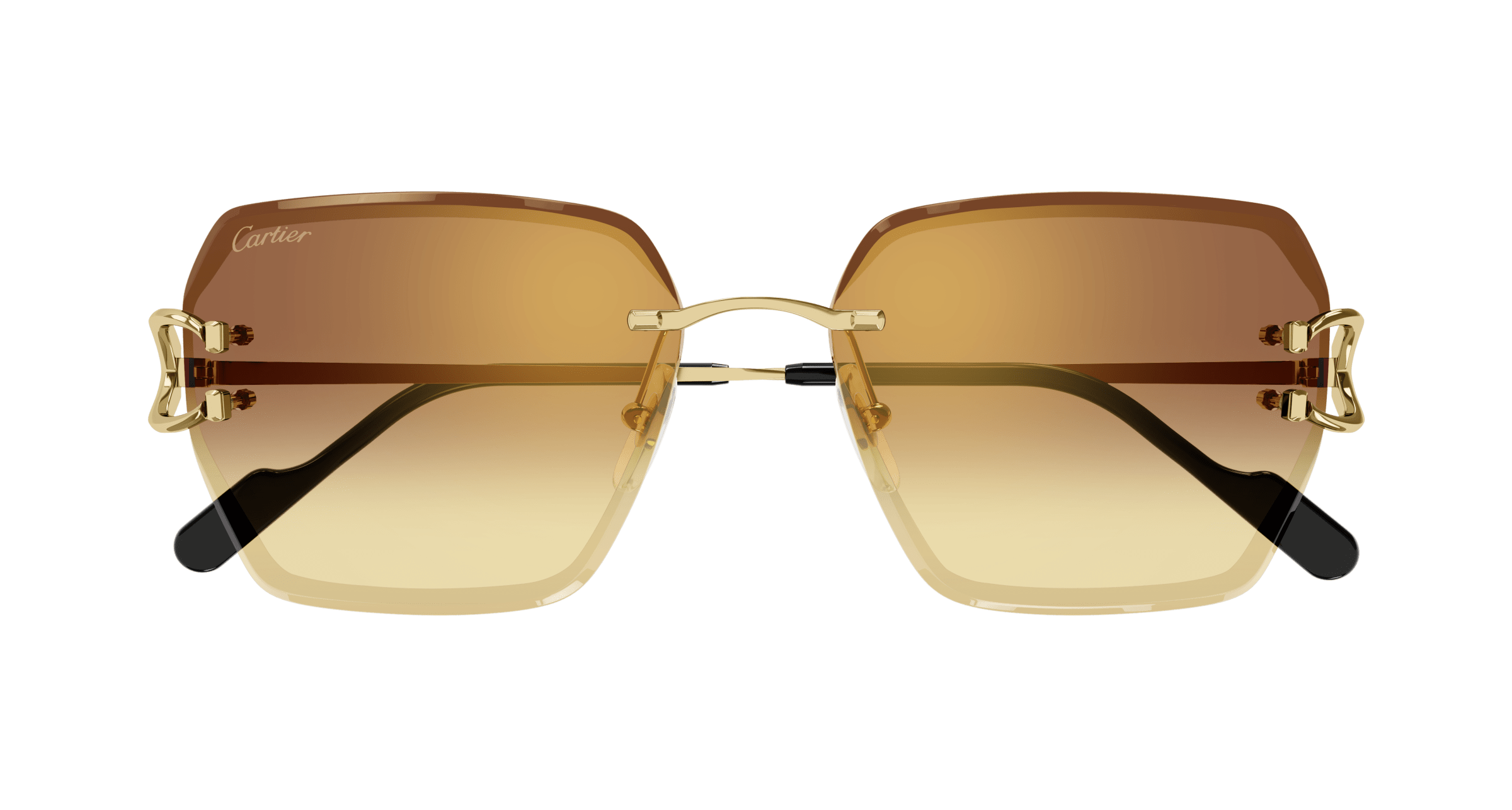 Cartier CT0466S
