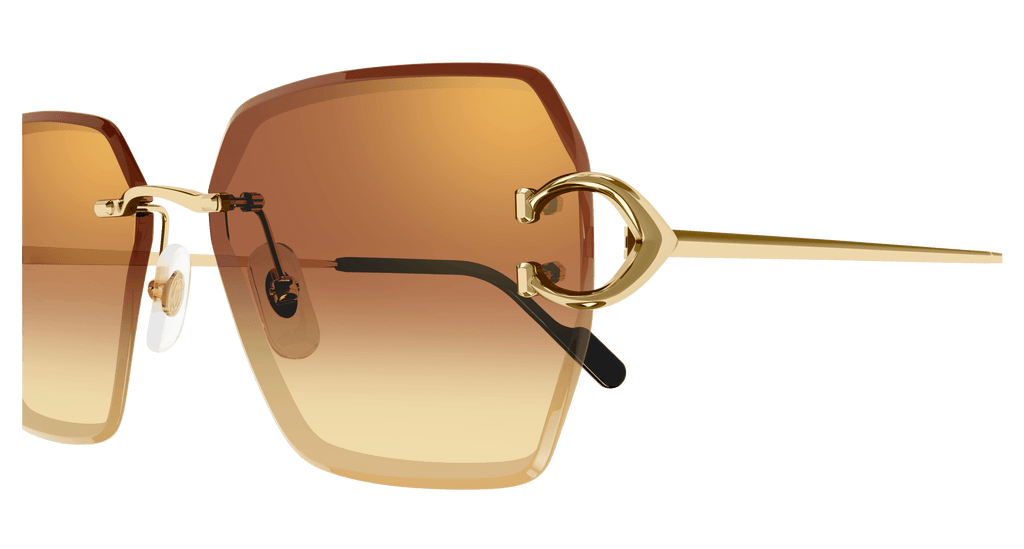 Cartier CT0466S