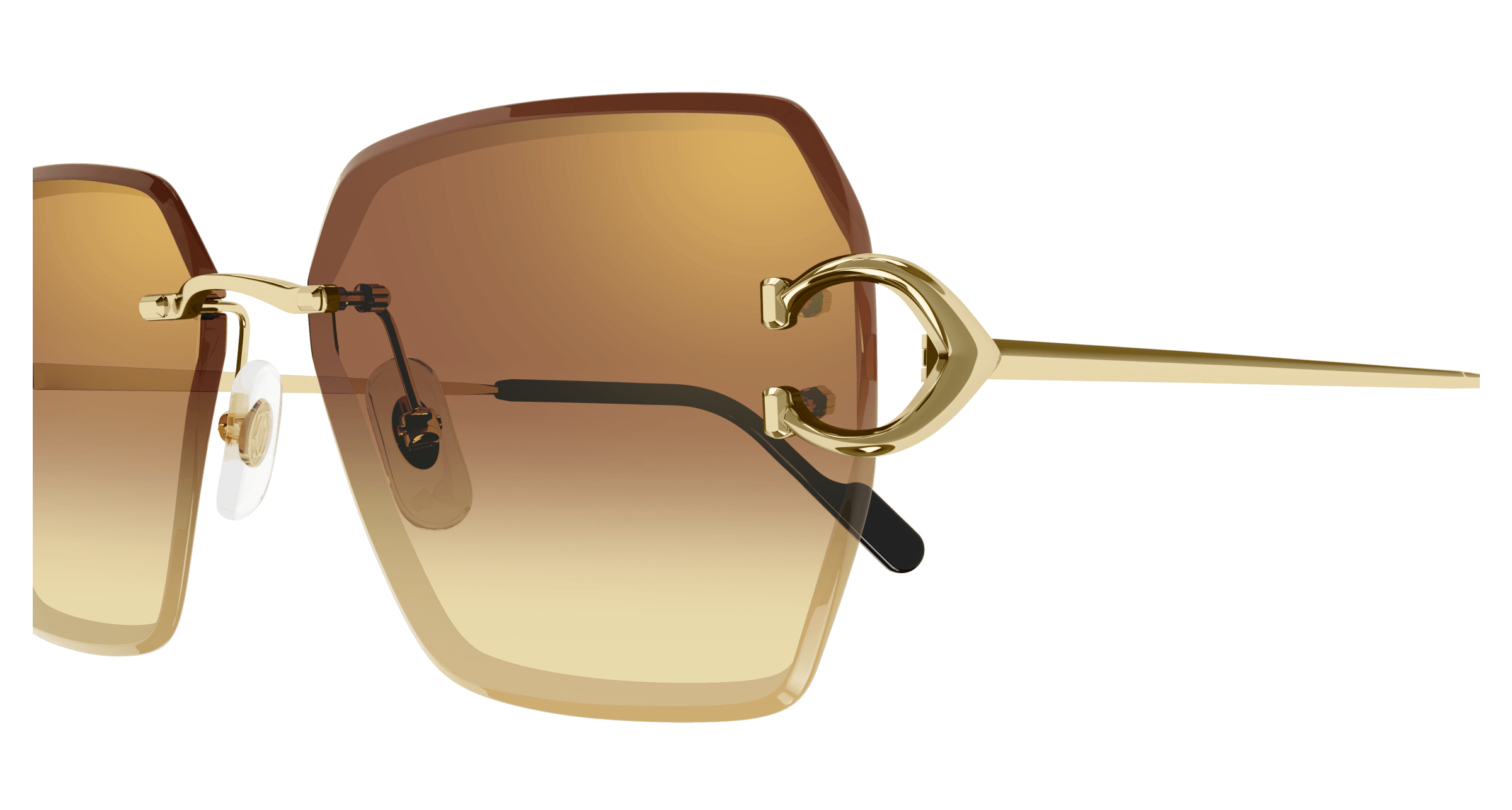 Cartier CT0466S