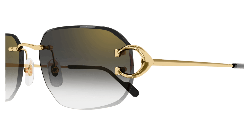 Cartier CT0468S