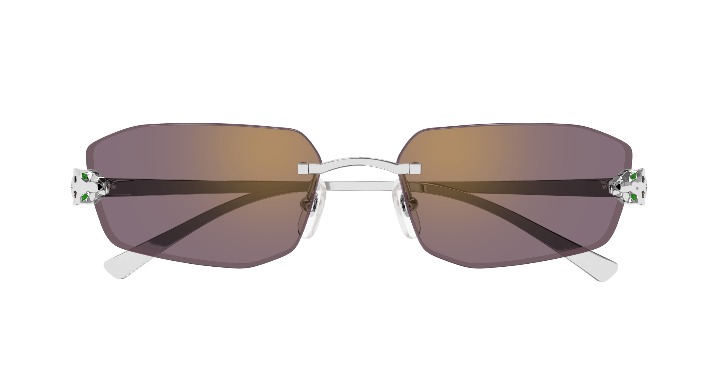 Cartier CT0474S