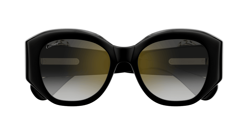 Cartier CT0502S