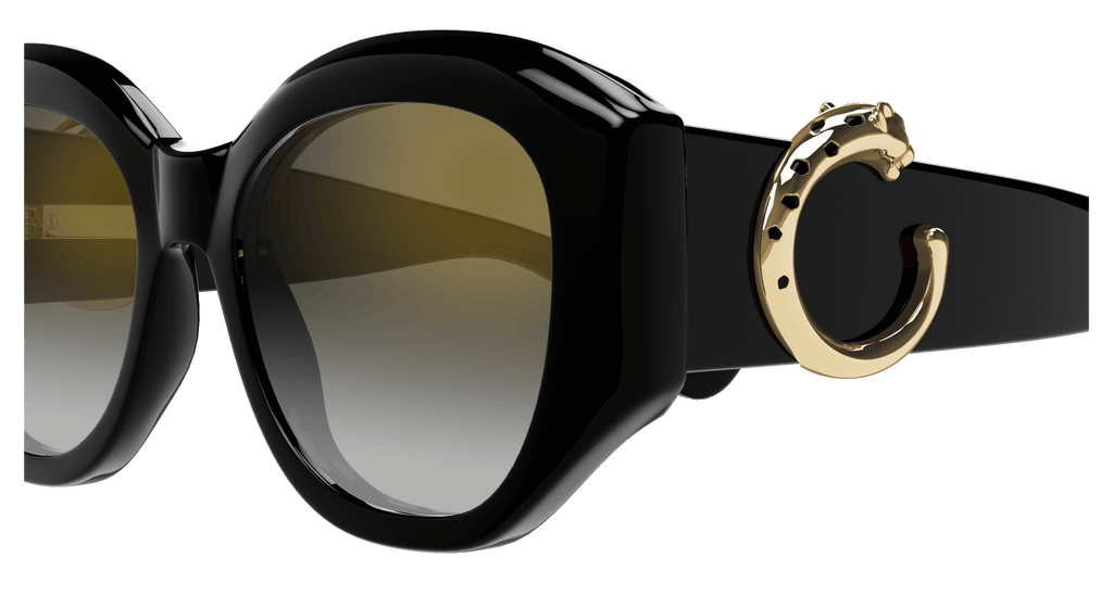 Cartier CT0502S