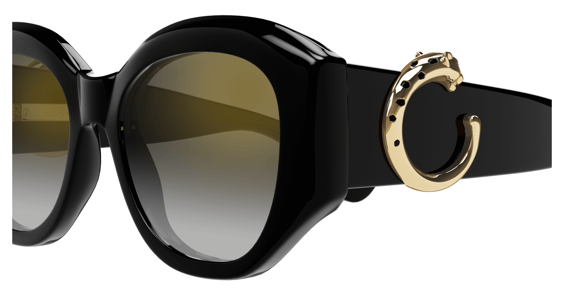 Cartier CT0502S