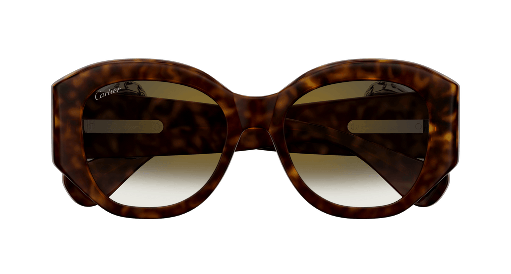 Cartier CT0502S