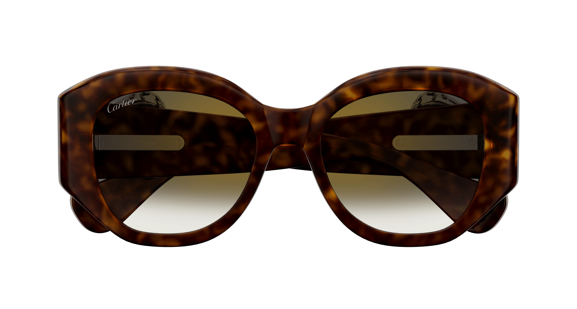 Cartier CT0502S