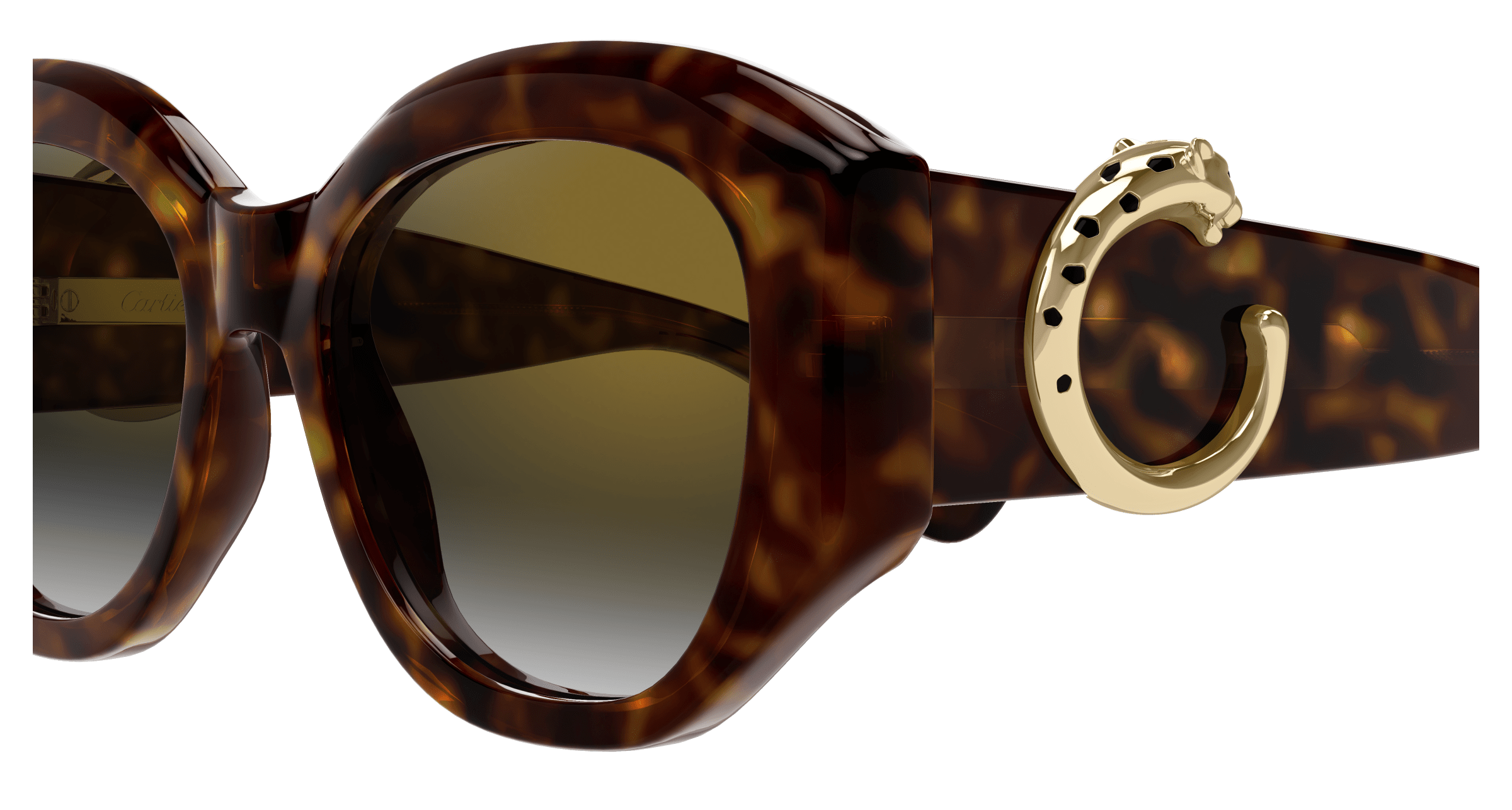Cartier CT0502S