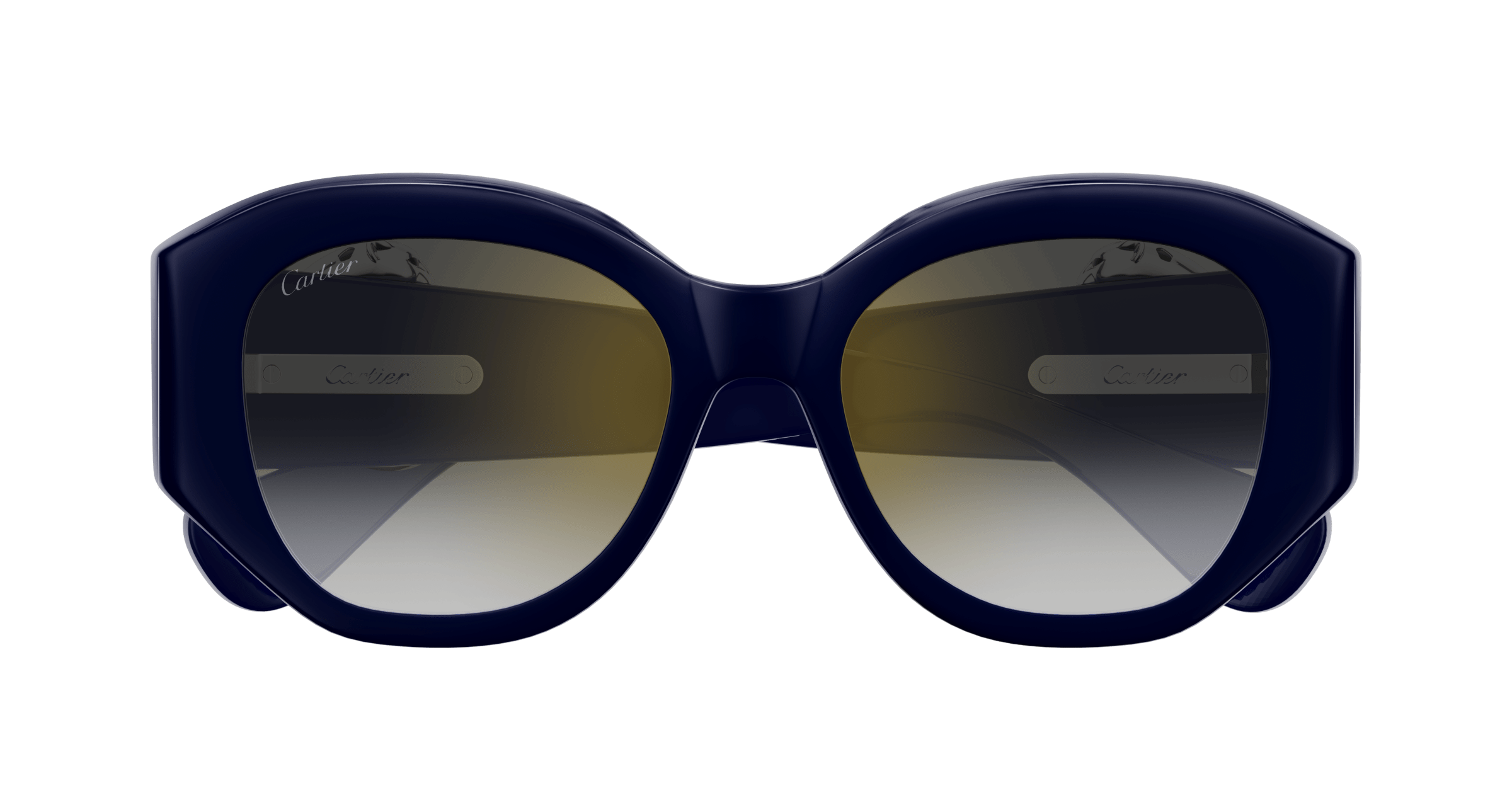 Cartier CT0502S
