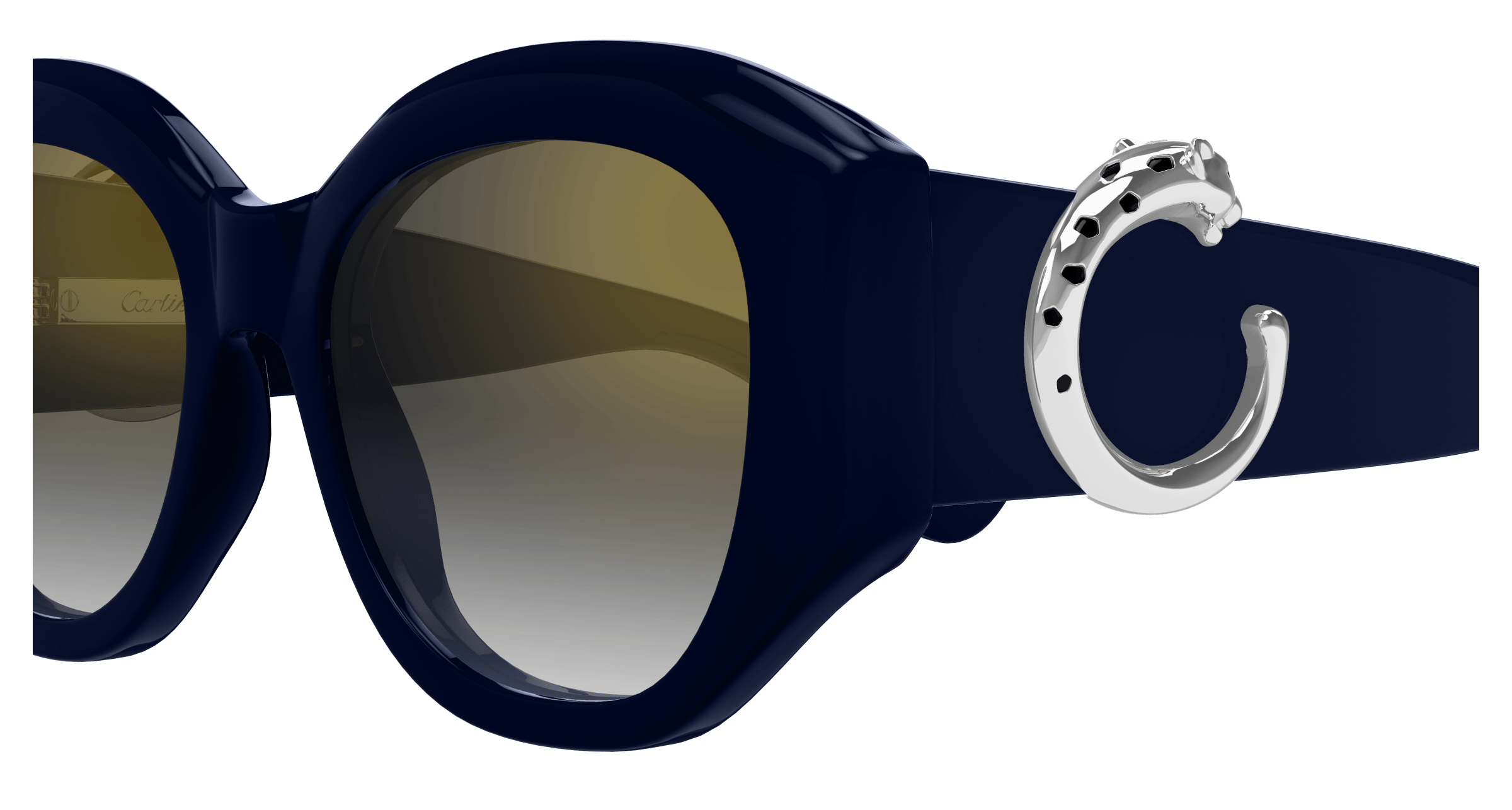 Cartier CT0502S