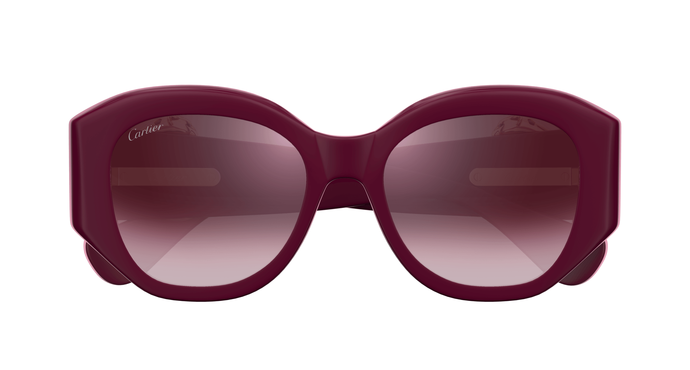 Cartier CT0502S
