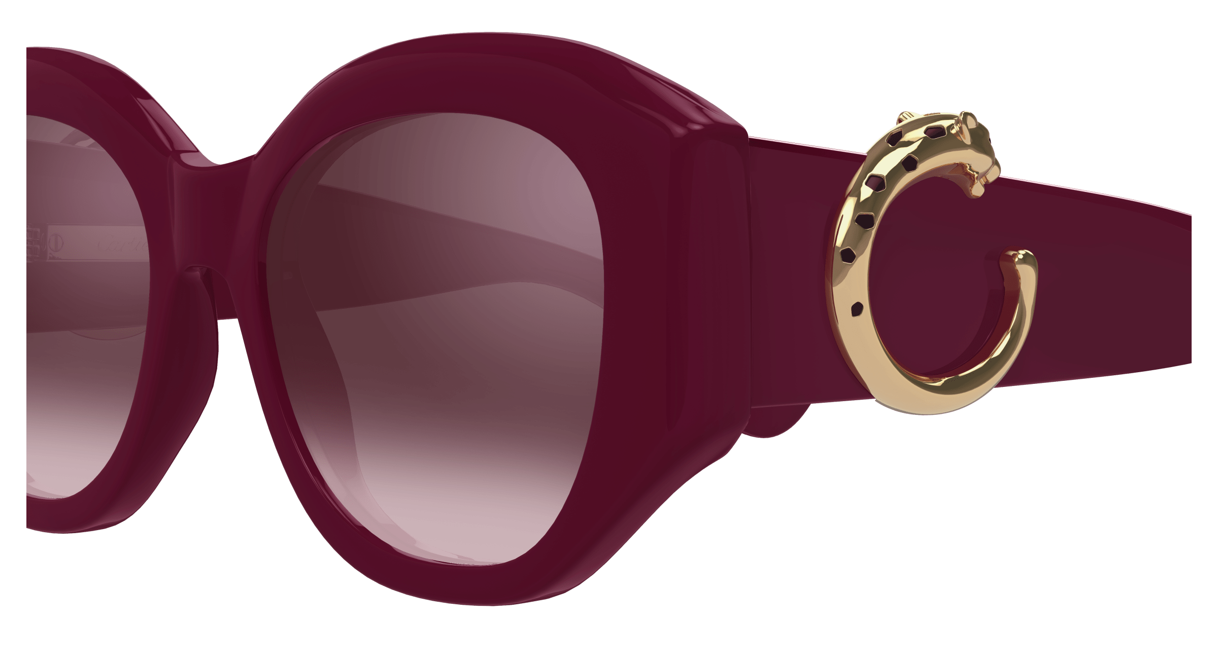 Cartier CT0502S