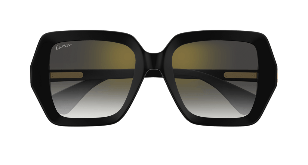 Cartier CT0507S