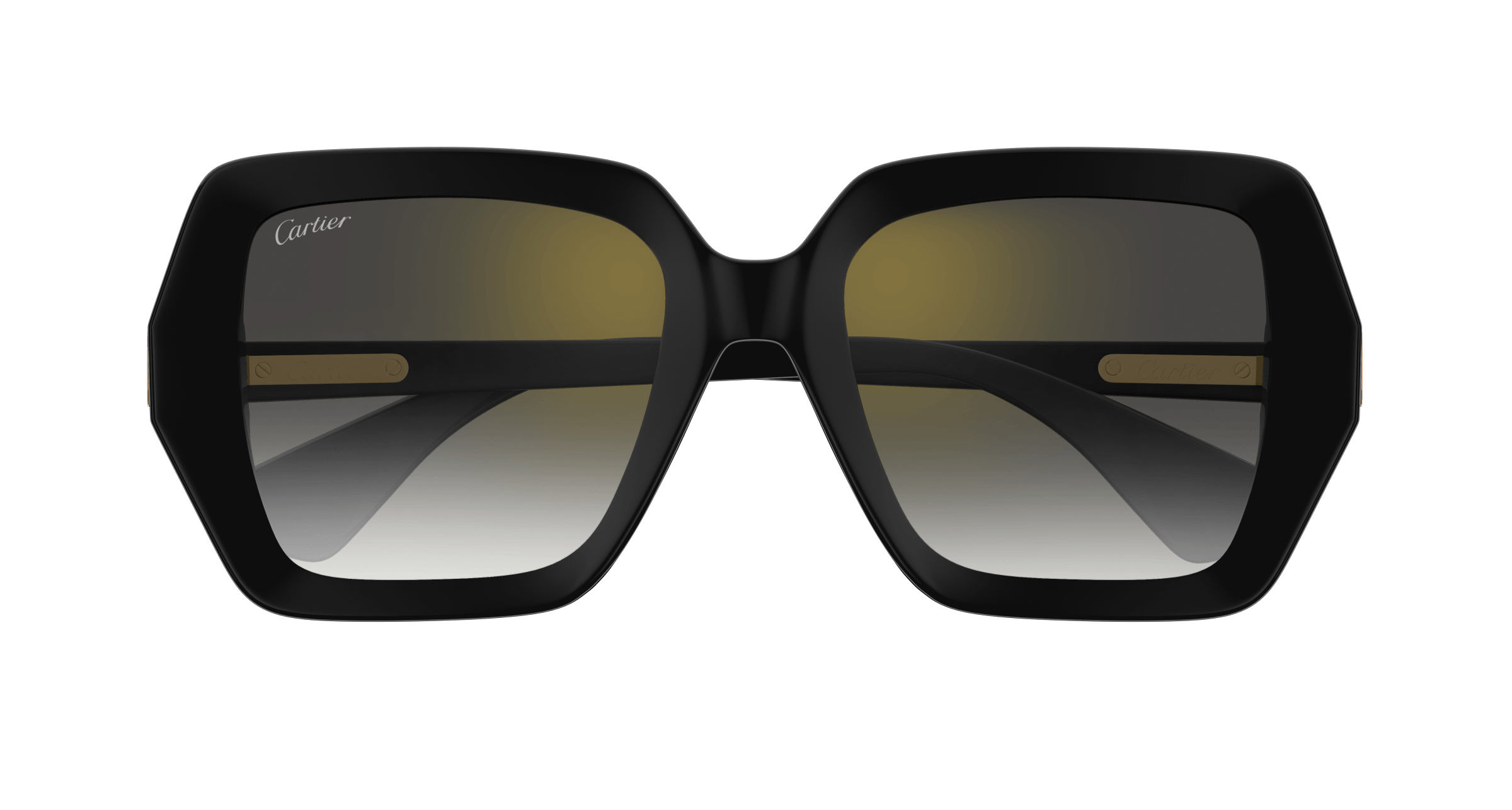 Cartier CT0507S